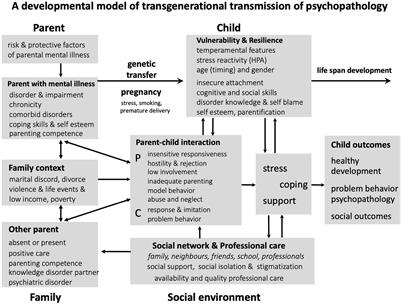 Frontiers | How To Support Parents Of Infants And Young Children In ...